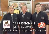 9.BRIGNAIS